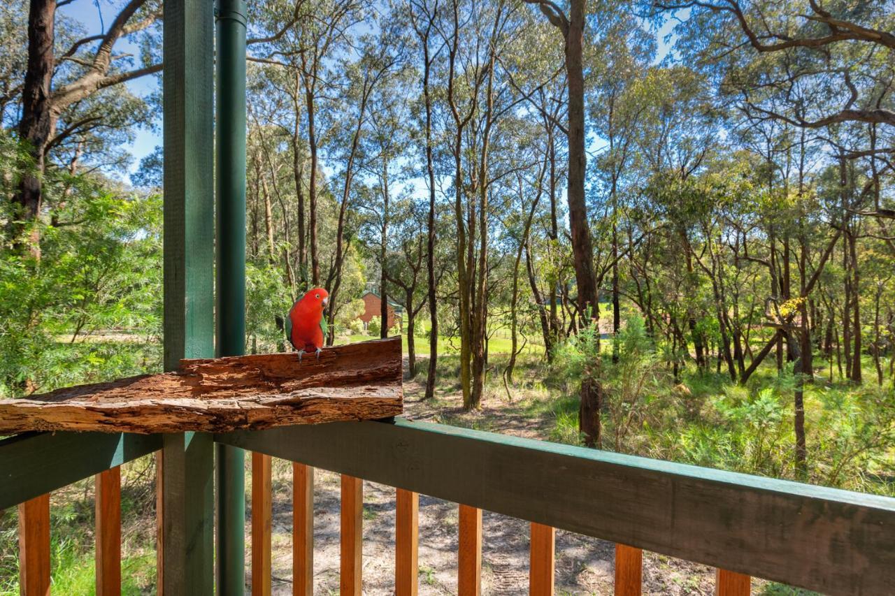 Cockatoo Cottages Dış mekan fotoğraf